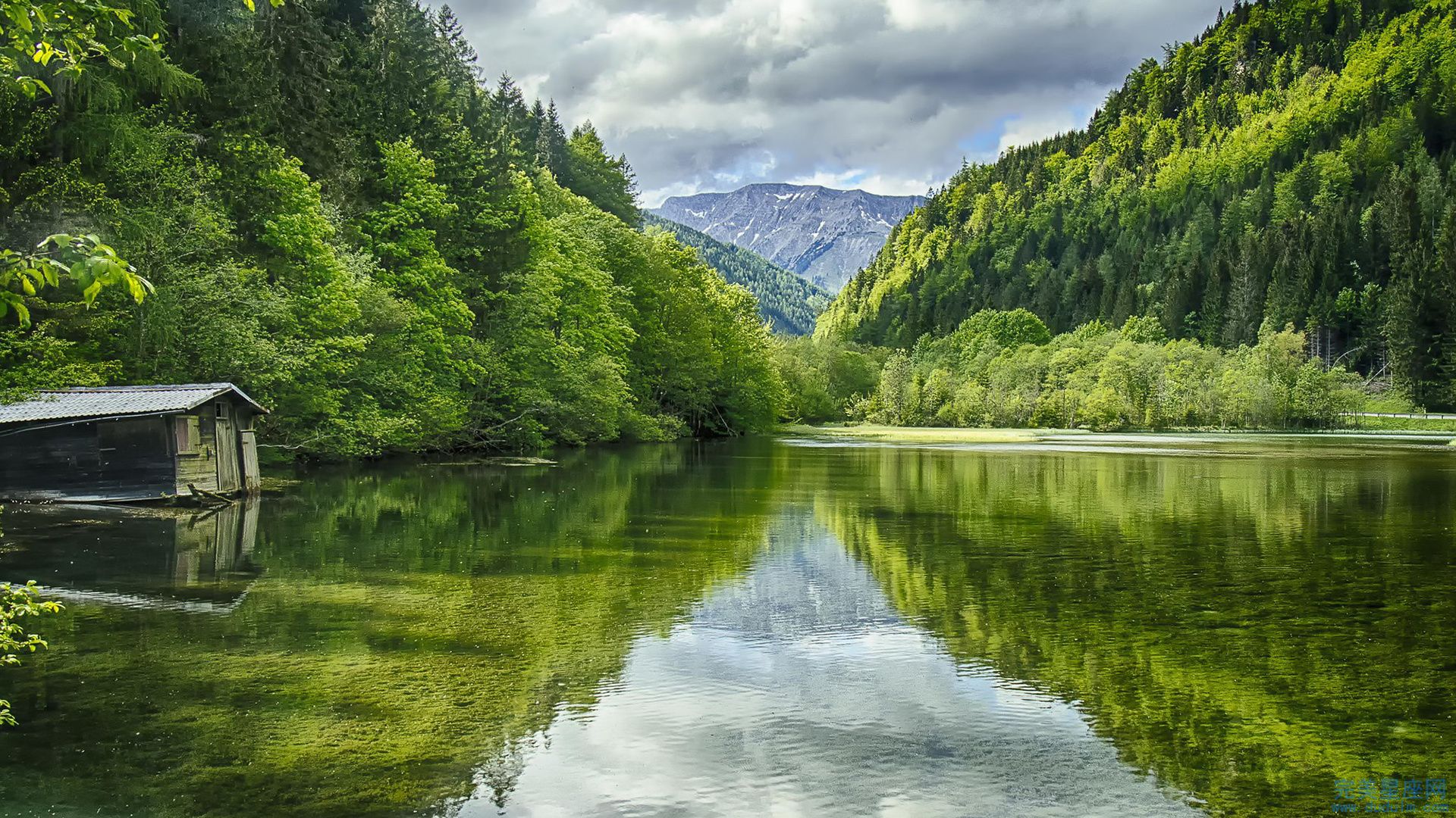 喜欢在背后耍心机的生肖有哪些(图1)