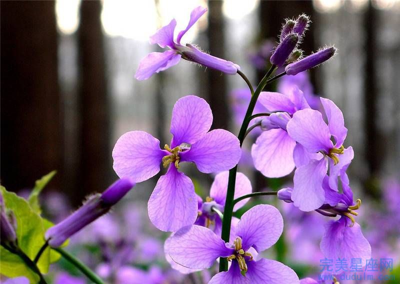 2022哪个生肖女性减肥一定可以成功(图1)