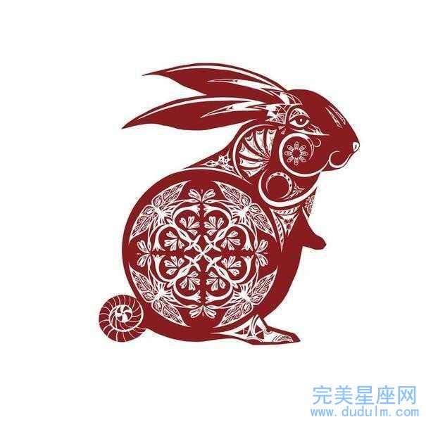 属兔与属龙合作对事业有帮助吗(图1)