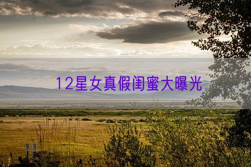 12星女真假闺蜜大曝光(图1) 12星女真假闺蜜大曝光(图1)