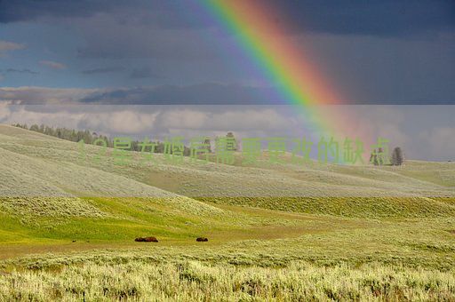 12星女婚后需要更改的缺点(图1)