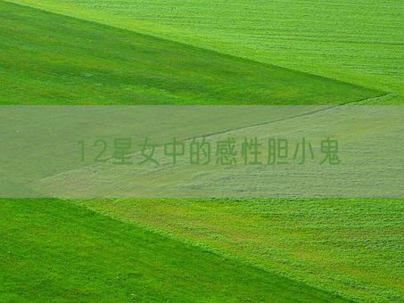 12星女中的感性胆小鬼(图1)