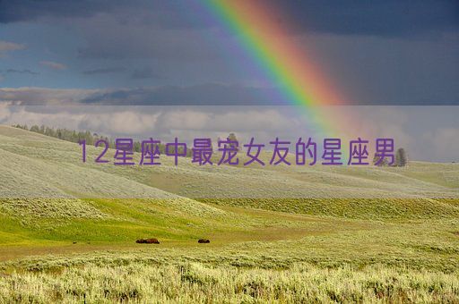 12星座中最宠女友的星座男(图1)