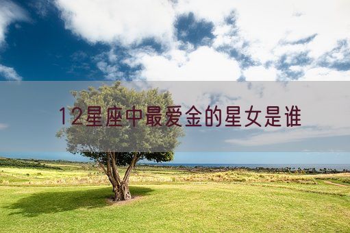 12星座中最爱金的星女是谁(图1)