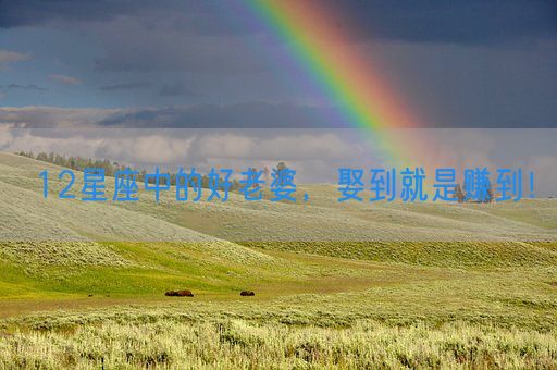 12星座中的好老婆，娶到就是赚到！(图1)