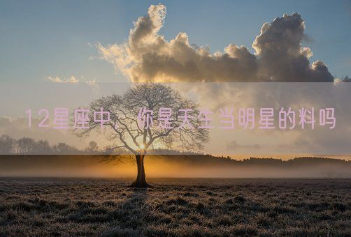 12星座中，你是天生当明星的料吗(图1)