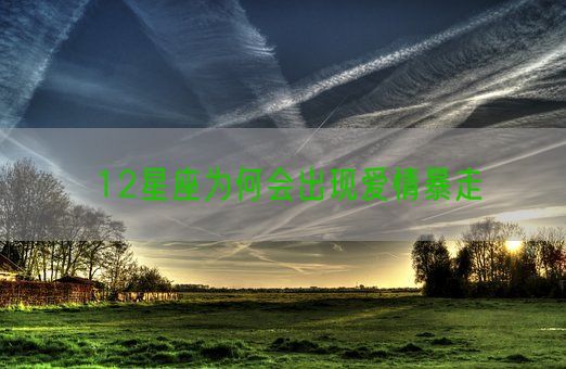 12星座为何会出现爱情暴走(图1)