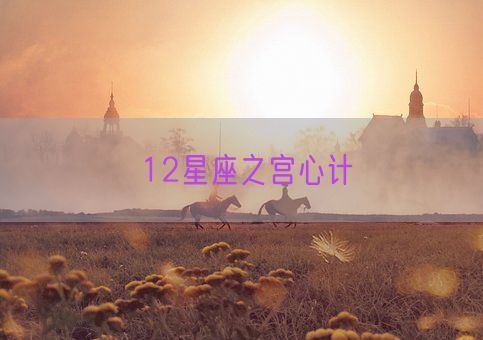 12星座之宫心计(图1)