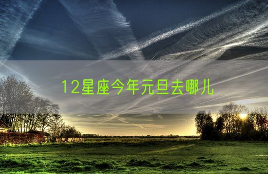 12星座今年元旦去哪儿(图1)