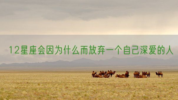12星座会因为什么而放弃一个自己深爱的人(图1)