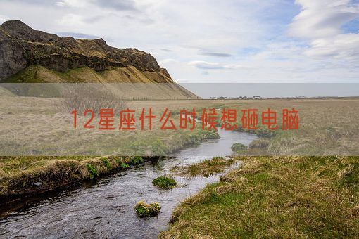 12星座什么时候想砸电脑(图1)