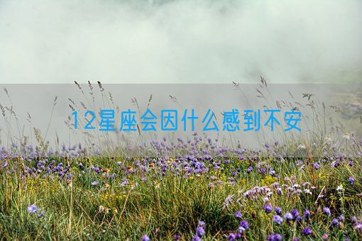 12星座会因什么感到不安(图1)