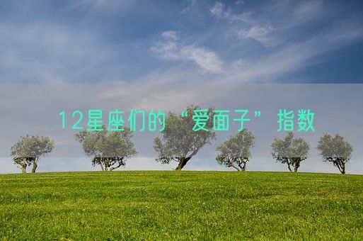 12星座们的“爱面子”指数(图1)