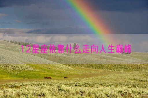 12星座依靠什么走向人生巅峰(图1)