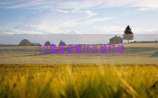 12星座会被什么给打动(图1)