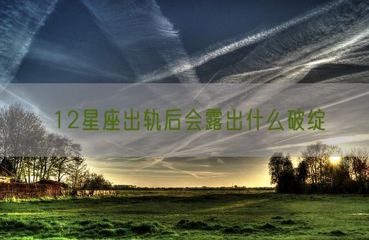 12星座出轨后会露出什么破绽(图1) 12星座出轨后会露出什么破绽(图1)