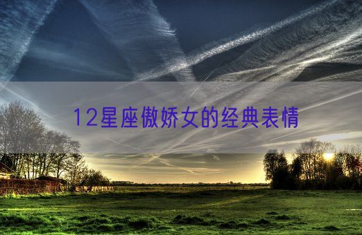 12星座傲娇女的经典表情(图1)