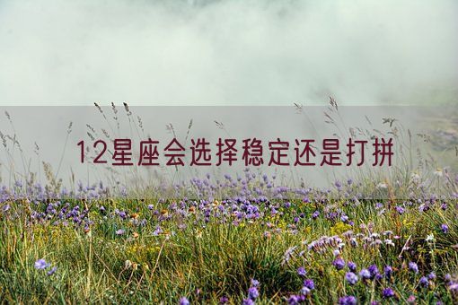 12星座会选择稳定还是打拼(图1)