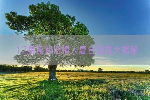 12星座和旧情人复合指数大揭秘(图1)