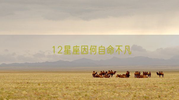 12星座因何自命不凡(图1)