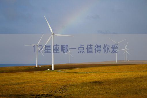 12星座哪一点值得你爱(图1)