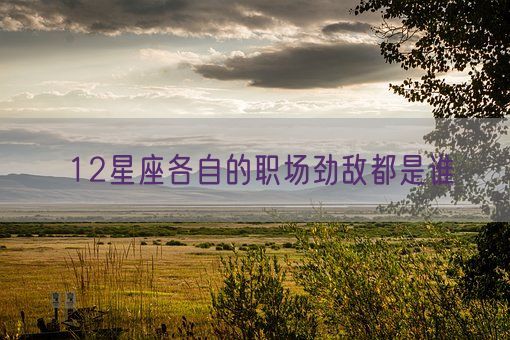 12星座各自的职场劲敌都是谁(图1) 12星座各自的职场劲敌都是谁(图1)