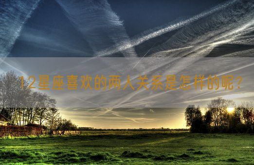 12星座喜欢的两人关系是怎样的呢?(图1) 12星座喜欢的两人关系是怎样的呢?(图1)
