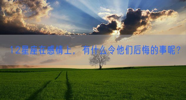 12星座在感情上，有什么令他们后悔的事呢？(图1)
