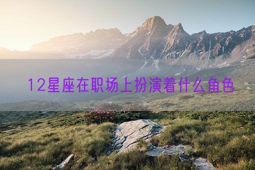 12星座在职场上扮演着什么角色(图1)
