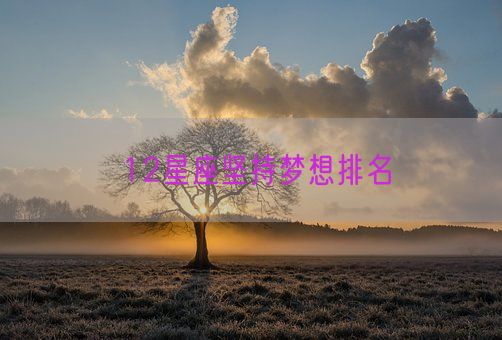 12星座坚持梦想排名(图1) 12星座坚持梦想排名(图1)