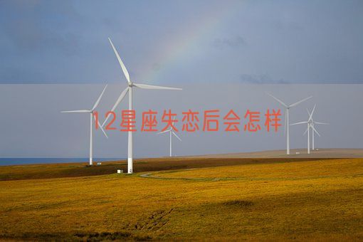 12星座失恋后会怎样(图1)