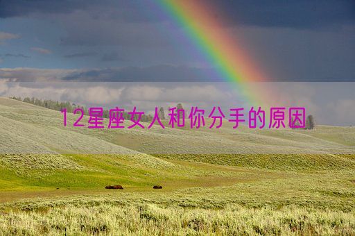 12星座女人和你分手的原因(图1) 12星座女人和你分手的原因(图1)