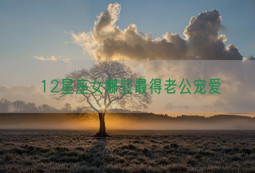 12星座女哪些最得老公宠爱(图1) 12星座女哪些最得老公宠爱(图1)