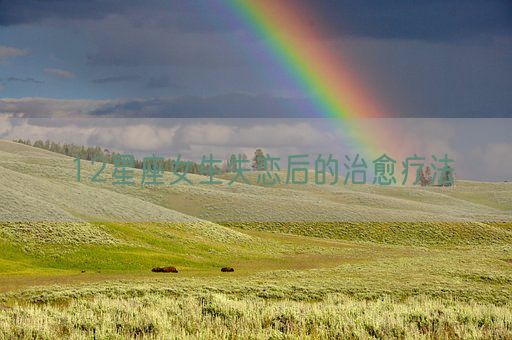 12星座女生失恋后的治愈疗法(图1)