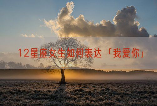 12星座女生如何表达「我爱你」(图1)