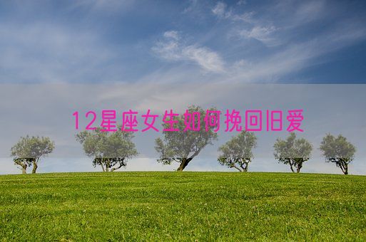 12星座女生如何挽回旧爱(图1) 12星座女生如何挽回旧爱(图1)