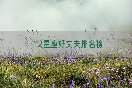 12星座好丈夫排名榜(图1) 12星座好丈夫排名榜(图1)