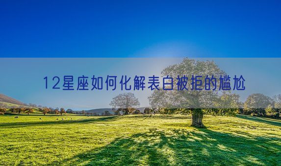 12星座如何化解表白被拒的尴尬(图1)