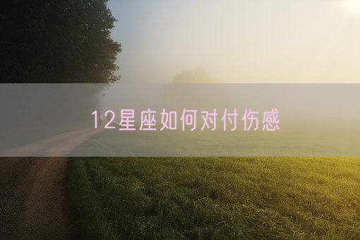 12星座如何对付伤感(图1)