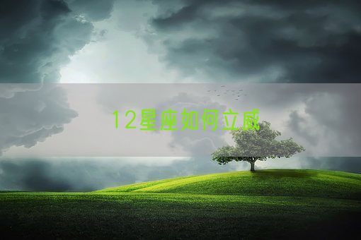 12星座如何立威(图1) 12星座如何立威(图1)