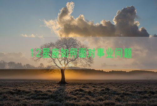 12星座如何面对事业问题(图1) 12星座如何面对事业问题(图1)