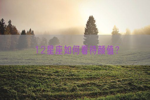 12星座如何看待颜值?(图1) 12星座如何看待颜值?(图1)