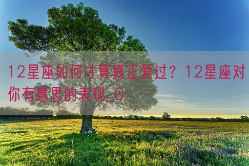 12星座如何才算真正爱过?12星座对你有意思的表现_0(图1) 12星座如何才算真正爱过?12星座对你有意思的表现_0(图1)
