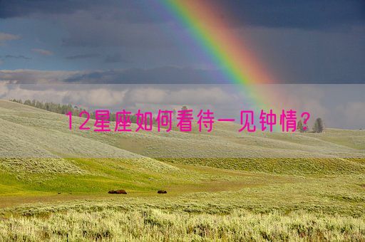 12星座如何看待一见钟情?(图1) 12星座如何看待一见钟情?(图1)