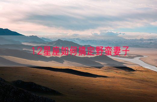 12星座如何搞定野蛮妻子(图1) 12星座如何搞定野蛮妻子(图1)