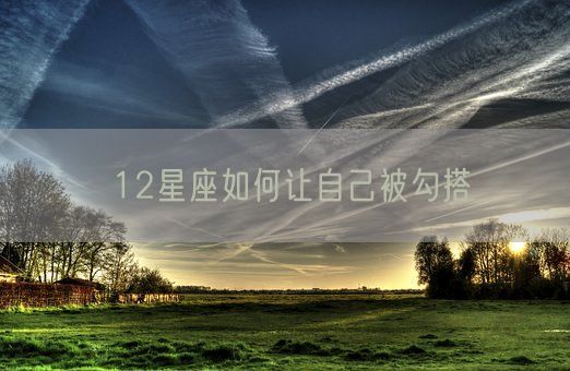 12星座如何让自己被勾搭(图1) 12星座如何让自己被勾搭(图1)