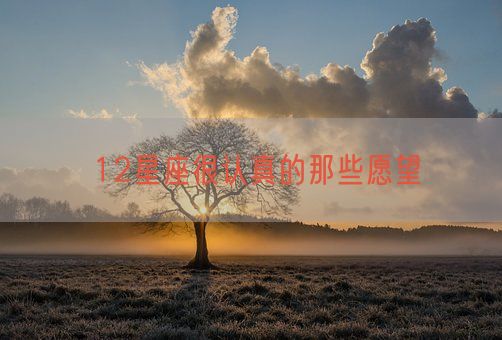 12星座很认真的那些愿望(图1) 12星座很认真的那些愿望(图1)