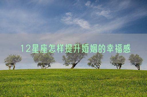 12星座怎样提升婚姻的幸福感(图1) 12星座怎样提升婚姻的幸福感(图1)