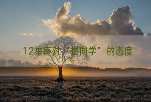12星座对“拼同学”的态度(图1) 12星座对“拼同学”的态度(图1)