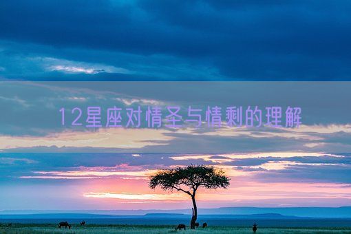 12星座对情圣与情剩的理解(图1) 12星座对情圣与情剩的理解(图1)